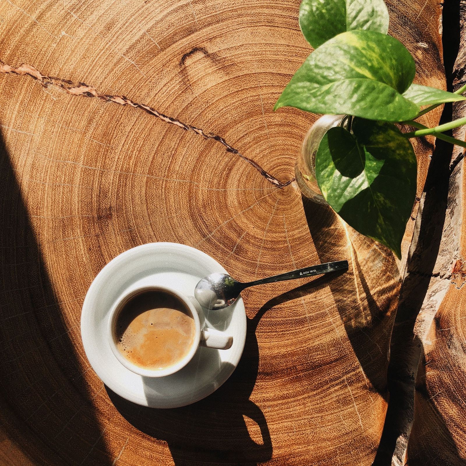 Mesa de madera natural con café — estética rustic luxury Xourrum
